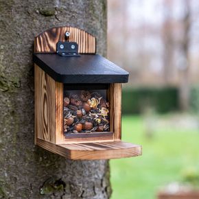 Eekhoornvoederhuis Victoria