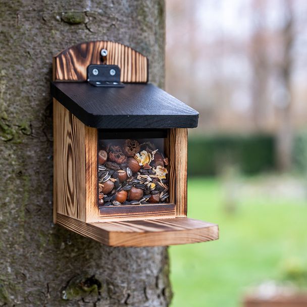 Eekhoornvoederhuis Victoria